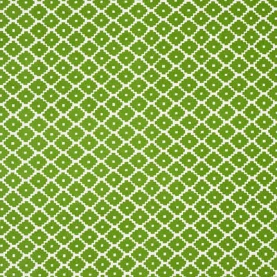 Schumacher Ziggurat Fabric In Green