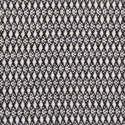 Schumacher Zoila Fabric In Black