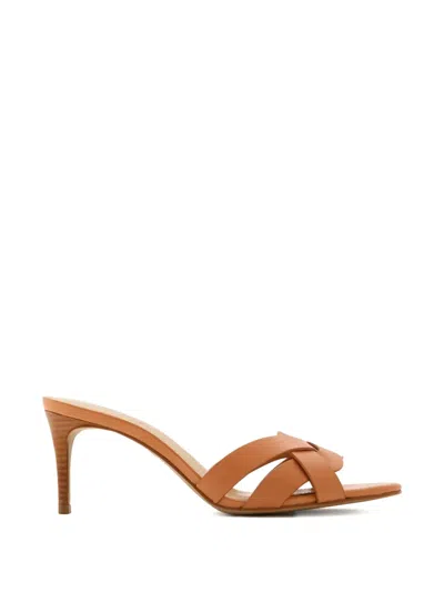 Schutz 70mm Renata Mules In Brown