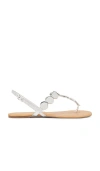 SCHUTZ ACACIA T SANDAL