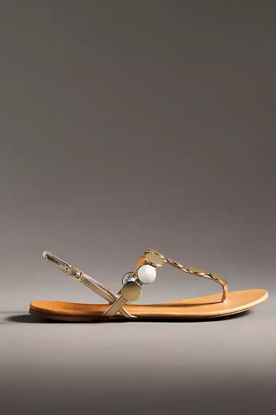 Schutz Acacia Thong Sandals In Gold