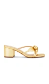 Schutz Alma Mule In Ouro