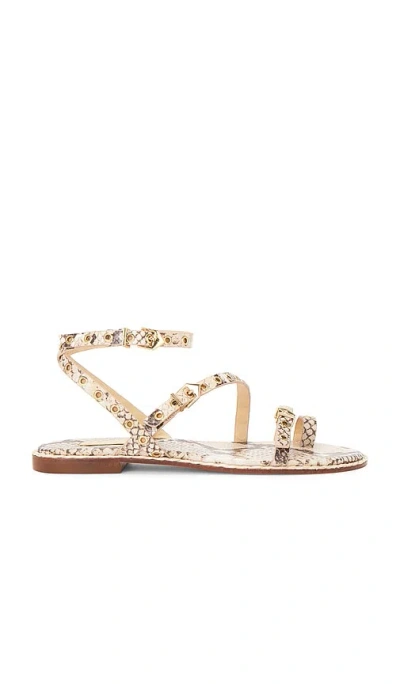 Schutz Annete Sandal In Beige Latte