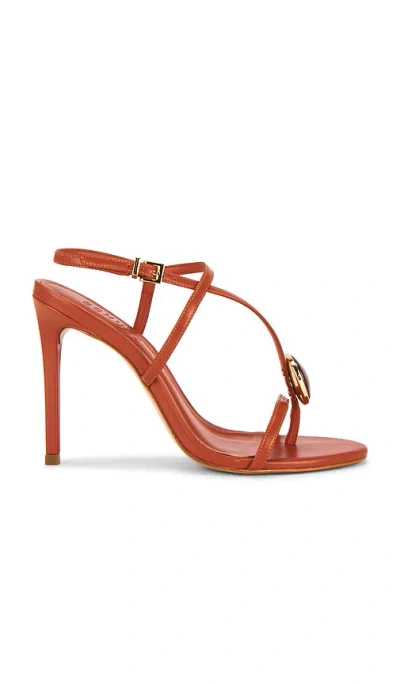 Schutz Azure Embellished Sandal In Brown