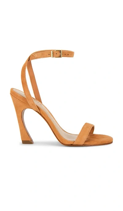Schutz Cadey-lee Curve Lace Sandal In Brown