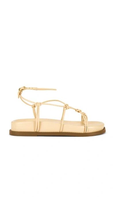 Schutz Calabria Sporty Sandal