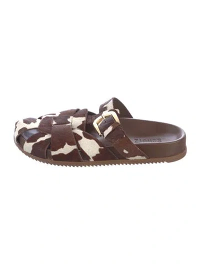 Pre-owned Schutz Calf Hair Printed Mules In Brown