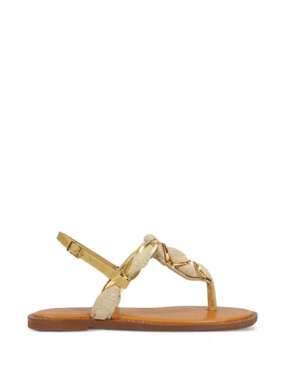 Schutz Camellia Thong Sandals In Brown