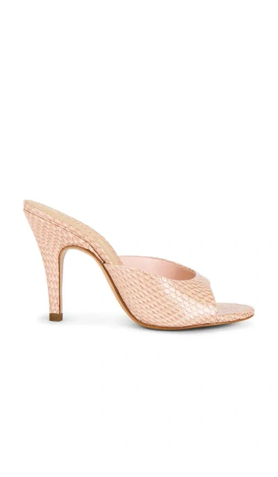 Schutz Clea Mule In Brown