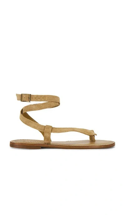 Schutz Cleo Flat Sandal In Brown