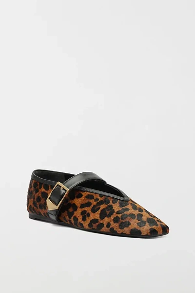 Schutz Courtney Buckle Ballet Flat In Natural/black, Women's At Urban Outfitters