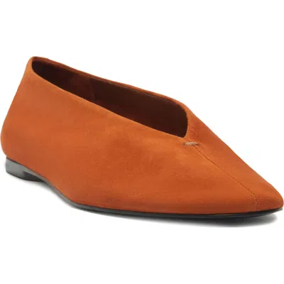 Schutz Courtney Flat In Brown