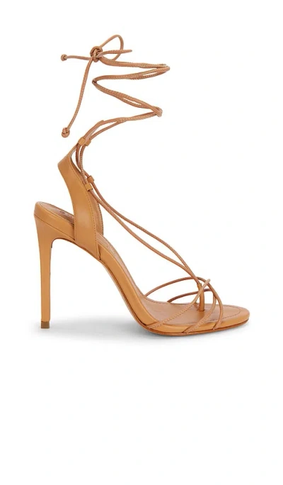Schutz Demetria Sandal In Brown