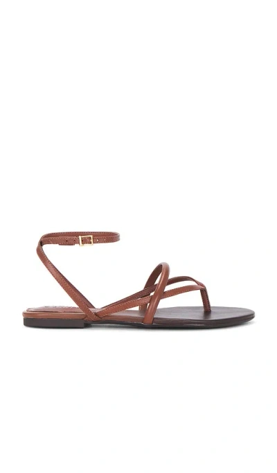 Schutz Diana Flat Sandal In Brown