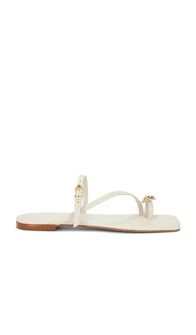 SCHUTZ ELYSA FLAT