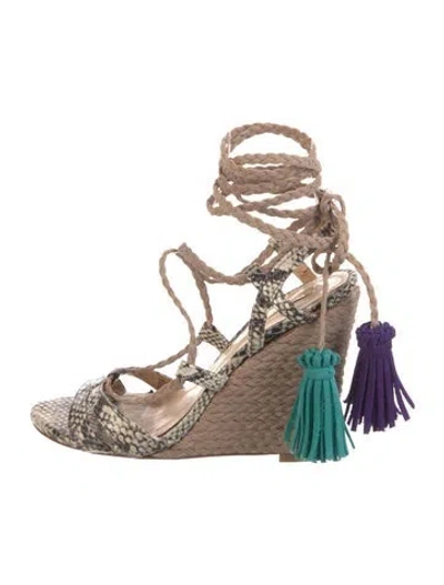 Pre-owned Schutz Embossed Leather Animal Print Gladiator Sandals In Multi