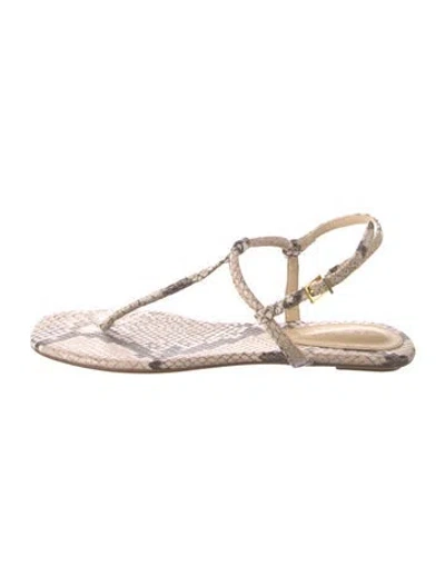 Pre-owned Schutz Embossed Leather Animal Print Sandals In Multi