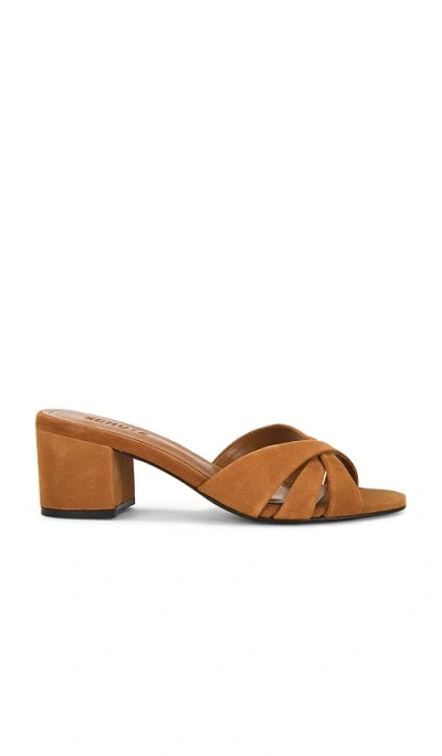 Schutz Keefa Block Mule In Brown