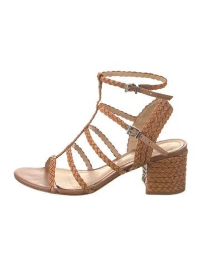 Pre-owned Schutz Leather Braided Accents Gladiator Sandals In Brown