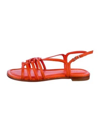 Pre-owned Schutz Leather Gladiator Sandals In Orange