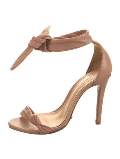 Pre-owned Schutz Leather Sandals In Neutrals