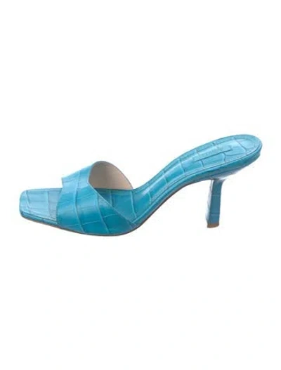 Pre-owned Schutz Leather Slides In Blue