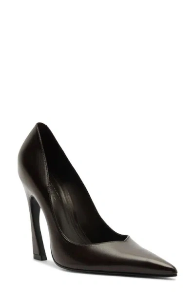 Schutz Lexi Pointed Toe Pump In Brown