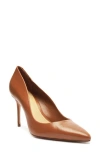 Schutz Lou Lo Pointed Toe Pump In Miele