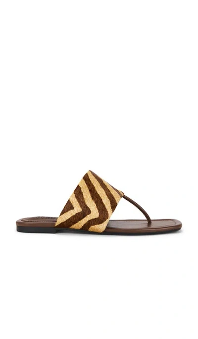 SCHUTZ MARTHA FLAT