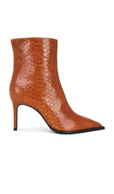 Schutz Boot Mary In Brown