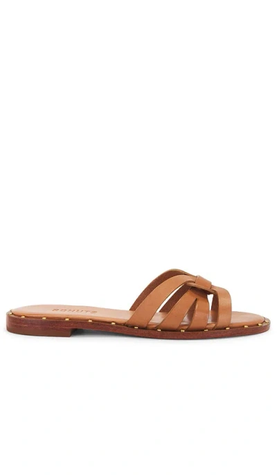 Schutz Phoenix Studded Leather Flat Sandals In Brown