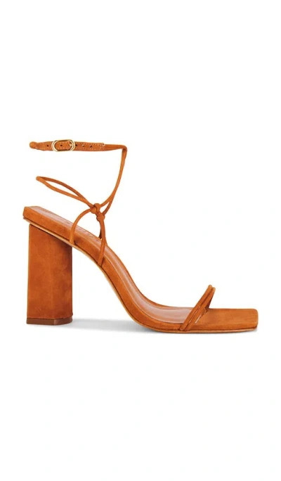 Schutz Pompeii Sandal In Cuoio Brown