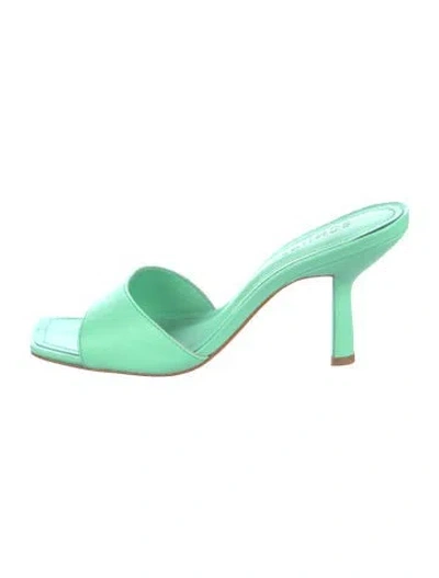 Pre-owned Schutz Posseni Leather Sandals In Green