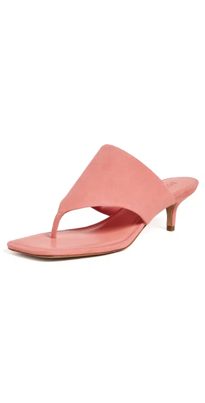Schutz Sage Kitten Sandals Sweet Coral In Pink