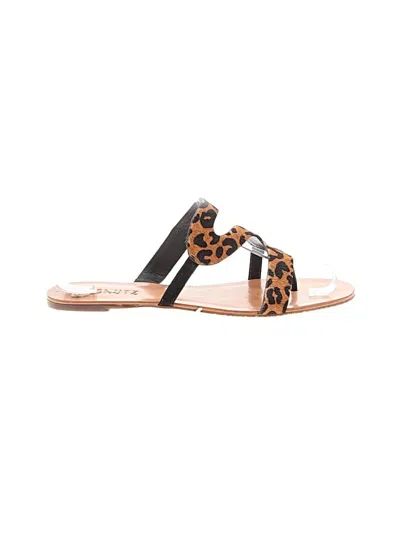 Pre-owned Schutz Sandals In Brown