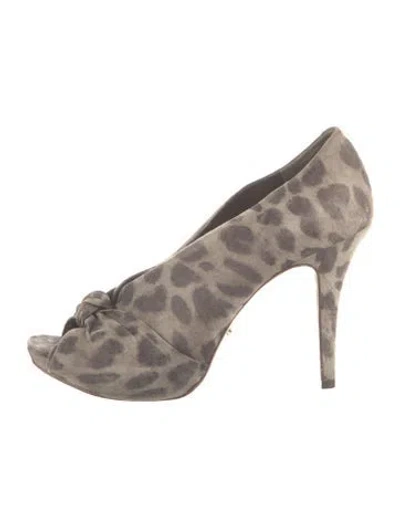 Pre-owned Schutz Suede Animal Print Pumps In Gray