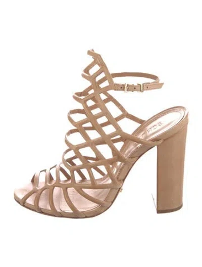 Pre-owned Schutz Suede Cutout Accent Gladiator Sandals In Neutral