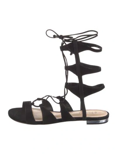 Pre-owned Schutz Suede Gladiator Sandals In Black