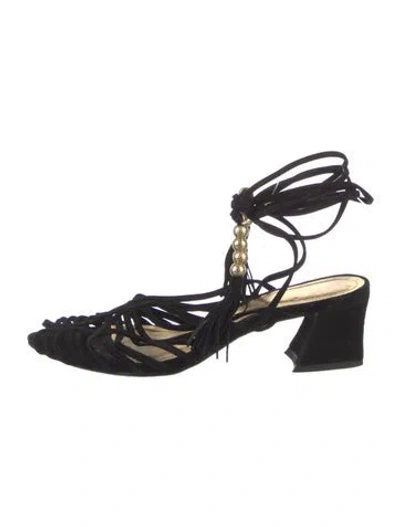 Pre-owned Schutz Suede Gladiator Sandals In Black
