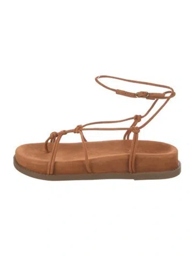 Pre-owned Schutz Suede Gladiator Sandals In Brown