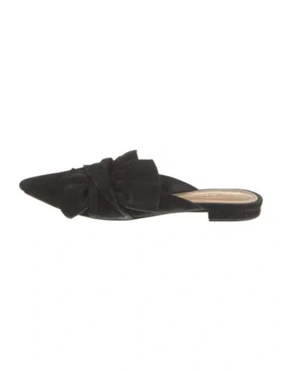 Pre-owned Schutz Suede Mules In Black