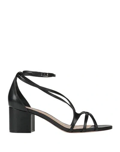 Schutz Woman Sandals Black Size 5.5 Leather
