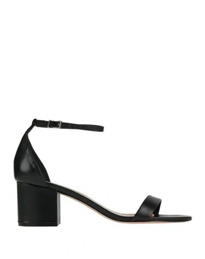 Schutz Woman Sandals Black Size 9.5 Soft Leather