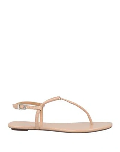 Schutz Woman Toe Strap Sandals Blush Size 9.5 Textile Fibers In Pink