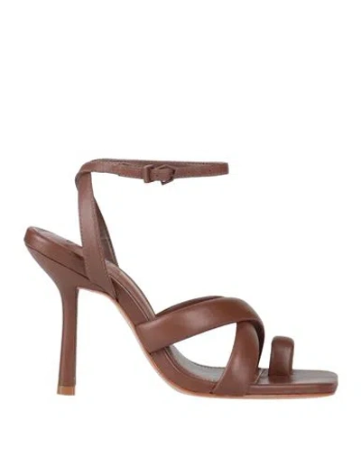 Schutz Woman Thong Sandal Brown Size 5.5 Soft Leather