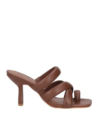 Schutz Woman Thong Sandal Cocoa Size 6 Leather In Brown