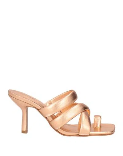 Schutz Woman Thong Sandal Copper Size 6 Soft Leather In Orange