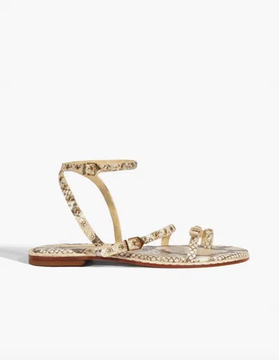 Schutz Women Annete Flat Sandal In Beige Latte