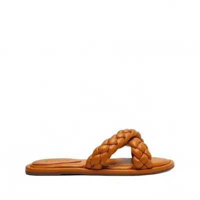 Schutz Women's Cicely Low Sandal In Inca Gold In Brown