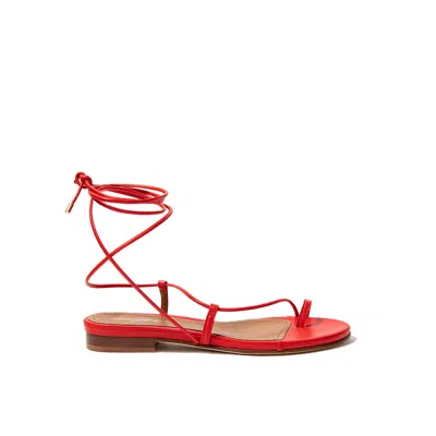 Sclarandis Gladiator Red Nappa Sandal